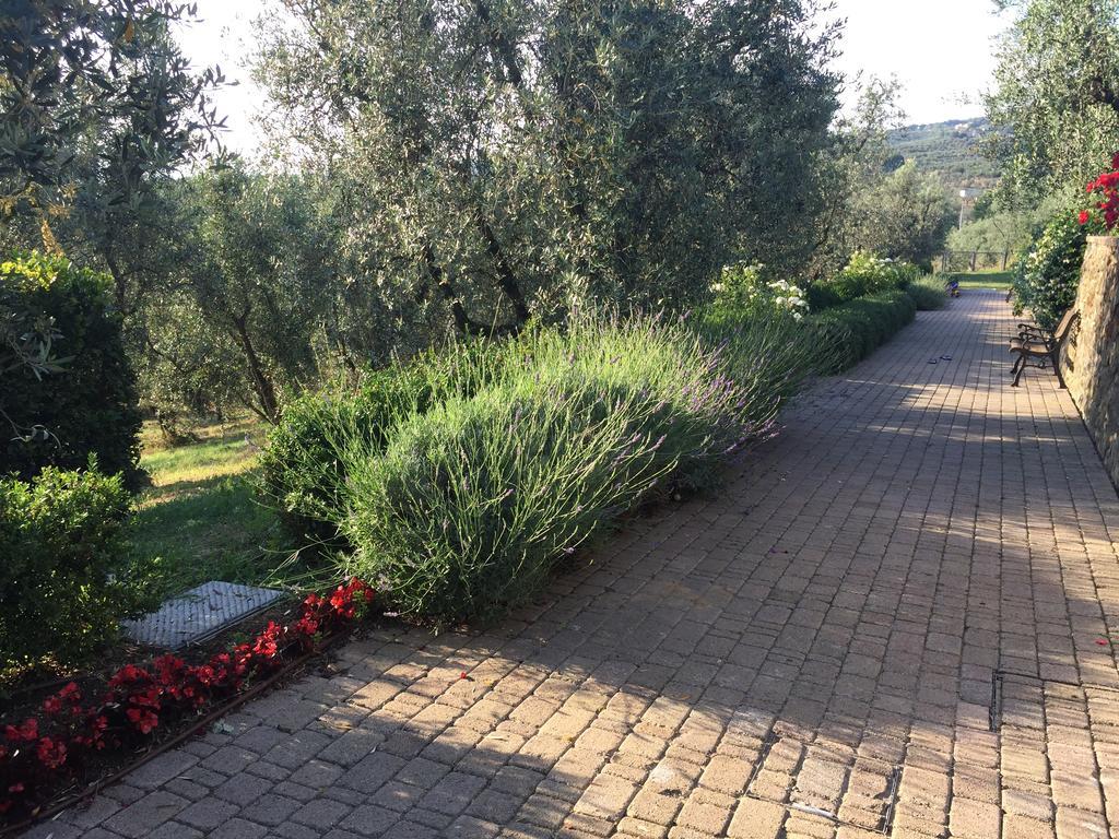 Podere Jana Antico Frantoio Vinci Exterior foto